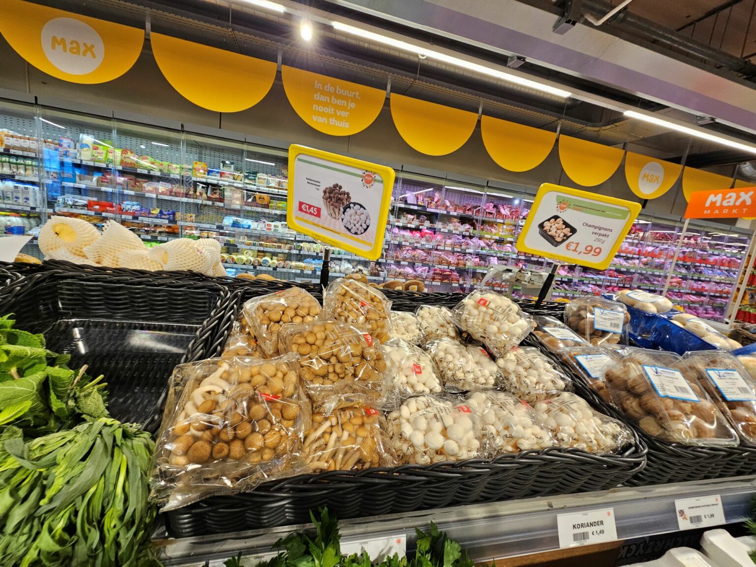 20250326 max markt 6
